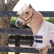 Amigo Bug Rug Plus Petite Silber/Limette/Marineblau/Rosa/Blau Amigo Bug Rug Plus Petite Silber/Limette/Marineblau/Rosa/Blau