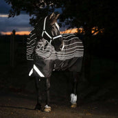 Amigo Turnout Rug FieldSafe Reflectech Plus 1200D 50g Black/Reflective/Black Amigo Turnout Rug FieldSafe Reflectech Plus 1200D 50g Black/Reflective/Black