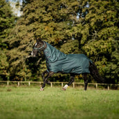 Amigo Halsstück Ripstop 900D 150g Dynasty Green/Navy/Silver Amigo Halsstück Ripstop 900D 150g Dynasty Green/Navy/Silver