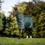 Amigo Ripstop 900D Plus Pony 50g Dynasty Green/Navy/Silver Amigo Ripstop 900D Plus Pony 50g Dynasty Green/Navy/Silver