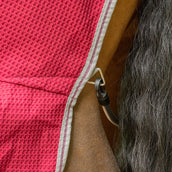 Velder Horsewear Waffle Cooler Rug Maulbeeren Rot Velder Horsewear Waffle Cooler Rug Maulbeeren Rot