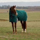 WeatherBeeta ComFiTec Plus Dynamic Turnout Detach-A-Neck 220g Forest Green/Navy WeatherBeeta ComFiTec Plus Dynamic Turnout Detach-A-Neck 220g Forest Green/Navy