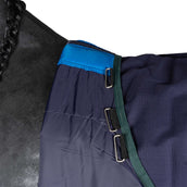 WeatherBeeta ComFiTec Plus Dynamic Turnout Detach-A-Neck 100g Navy/Forest Green WeatherBeeta ComFiTec Plus Dynamic Turnout Detach-A-Neck 100g Navy/Forest Green