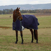 WeatherBeeta ComFiTec Plus Dynamic Turnout High Neck 220g Navy/Forest Green WeatherBeeta ComFiTec Plus Dynamic Turnout High Neck 220g Navy/Forest Green