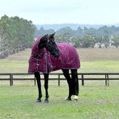 WeatherBeeta ComFiTec Essential Turnout Combo 360g Burgund/Navy WeatherBeeta ComFiTec Essential Turnout Combo 360g Burgund/Navy