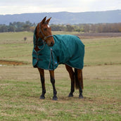 WeatherBeeta ComFiTec Classic Turnout Combo 360g Forest Green/Black WeatherBeeta ComFiTec Classic Turnout Combo 360g Forest Green/Black