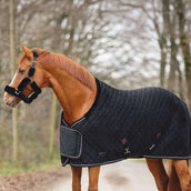 ANKY Showdecke Victory ATB24006 Schwarz ANKY Showdecke Victory ATB24006 Schwarz