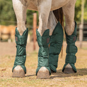 Agradi Horse Transportgamaschen 1200D Grün Agradi Horse Transportgamaschen 1200D Grün