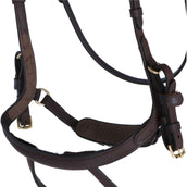 Kavalkade Zaum Caliano Via Braun/Messing Kavalkade Zaum Caliano Via Braun/Messing