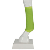 Kerbl EquiLastic Selbsthaftende Bandage 4,5m Grün Kerbl EquiLastic Selbsthaftende Bandage 4,5m Grün