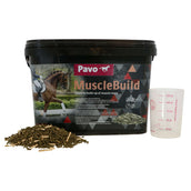 Pavo MuscleBuild Pavo MuscleBuild