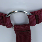 HKM Halfter Stars Economy Dunkelrot HKM Halfter Stars Economy Dunkelrot