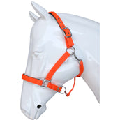 HKM Halfter Stars Softice Neon Orange HKM Halfter Stars Softice Neon Orange