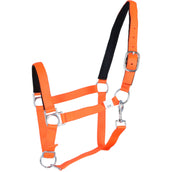 HKM Halfter Stars Softice Neon Orange HKM Halfter Stars Softice Neon Orange