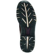 Ariat Stiefellette Terrain H2O Zip Distressed Brown Ariat Stiefellette Terrain H2O Zip Distressed Brown