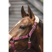 ANKY Halfterset Check Velvet ATH25002 Mellow Mauve ANKY Halfterset Check Velvet ATH25002 Mellow Mauve