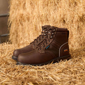 Ariat Outdoorschuhe Groundbreaker Lace Steel Toe Waterproof Herren Dunkelbraun Ariat Outdoorschuhe Groundbreaker Lace Steel Toe Waterproof Herren Dunkelbraun