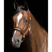 Back on Track Halfter Werano Braun Back on Track Halfter Werano Braun