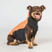 Back on Track Hundejacke Eddie High Visibility Petite Orange Back on Track Hundejacke Eddie High Visibility Petite Orange