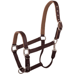 BR Halfter Event Doppelt Verstellbar Dunkel Schoko BR Halfter Event Doppelt Verstellbar Dunkel Schoko