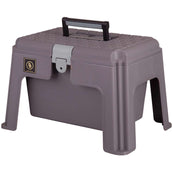 BR Putzbox Aufstieg mit Doppelter Einlage Hängeschloss Grau BR Putzbox Aufstieg mit Doppelter Einlage Hängeschloss Grau