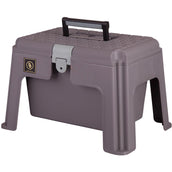 BR Putzbox Aufstieg mit Doppelter Einlage Hängeschloss Grau BR Putzbox Aufstieg mit Doppelter Einlage Hängeschloss Grau