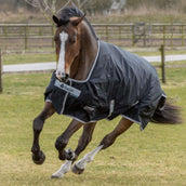 Bucas Anniversary Turnout 150g Stay-Dry Black/Silver Bucas Anniversary Turnout 150g Stay-Dry Black/Silver