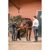 Bense & Eicke PferdeDeo Bense & Eicke PferdeDeo