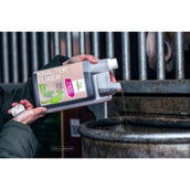 Bense & Eicke Kräuter Elixier Bense & Eicke Kräuter Elixier