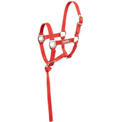 Premiere Fohlen-Halser-Set Brisk Mit Mini-Line Pompeian Red Premiere Fohlen-Halser-Set Brisk Mit Mini-Line Pompeian Red