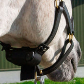 Birth Alarm Premium Plus Birth Alarm Premium Plus