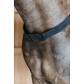 Dyon Brustgeschirr New English mit Gummizug Schwarz Dyon Brustgeschirr New English mit Gummizug Schwarz