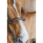 Dyon Reit- Ausbildungshalfte Braun Dyon Reit- Ausbildungshalfte Braun