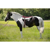 Norton Bareback Pad Braun/Beige Norton Bareback Pad Braun/Beige