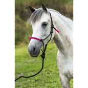 Norton Halfter + Strick Fun Colour Ethologisch Schwarz/Fuchsie Norton Halfter + Strick Fun Colour Ethologisch Schwarz/Fuchsie