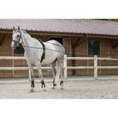 Riding World Zügel Leder/Seil Schwarz Riding World Zügel Leder/Seil Schwarz