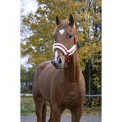 Norton Halfter Confort Rot Norton Halfter Confort Rot