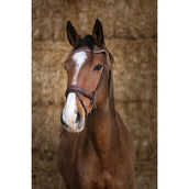 Norton Trense Pro Miss Havanna Norton Trense Pro Miss Havanna