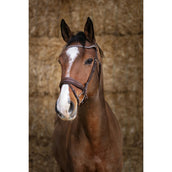 Norton Trense Pro Miss Havanna Norton Trense Pro Miss Havanna