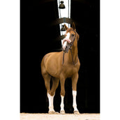 EQUITHÈME Nasenschutz Teddy Roségold EQUITHÈME Nasenschutz Teddy Roségold