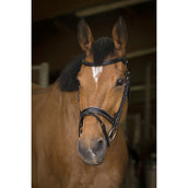 Norton Trense Pro Rock Havanna Norton Trense Pro Rock Havanna