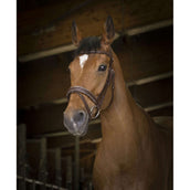 Norton Trense Pro Rock Havanna Norton Trense Pro Rock Havanna