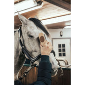 Borstiq Kopfbürste Borstiq Kopfbürste