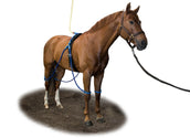 Equine Legcooler variante 1 Equine Legcooler variante 1