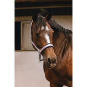 EQUITHÈME Halfter Jacquard Lila EQUITHÈME Halfter Jacquard Lila