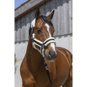 Norton Halfter Cosy Schwarz Norton Halfter Cosy Schwarz