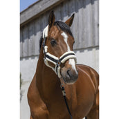 Norton Halfter Cosy Schwarz Norton Halfter Cosy Schwarz