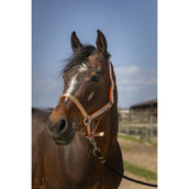 Norton Halfter Soft Nylon Orange Norton Halfter Soft Nylon Orange