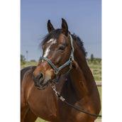 Norton Halfter Grooming Dunkelgrün Norton Halfter Grooming Dunkelgrün