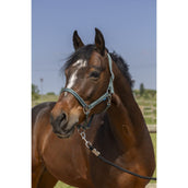 Norton Halfter Grooming Dunkelgrün Norton Halfter Grooming Dunkelgrün